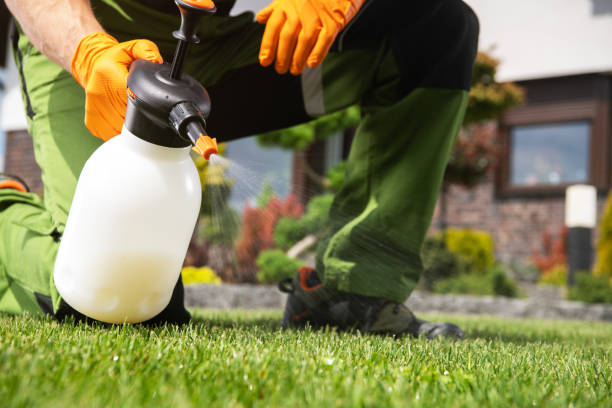 Best Wildlife Control Services  in Parchment, MI