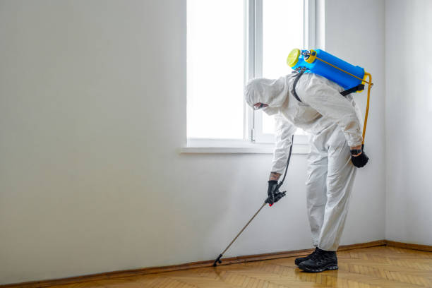 Best Flea Control Services  in Parchment, MI