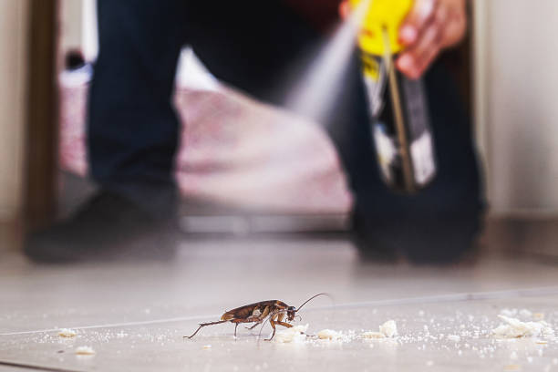 Best Pest Control Near Me  in Parchment, MI