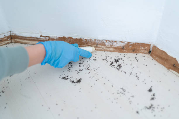 Best Best Pest Control Companies  in Parchment, MI